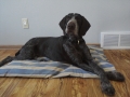 bliss-on-blanket-copy