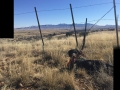 mwn_18
