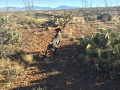 mwn_19